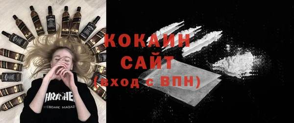 дживик Богородск