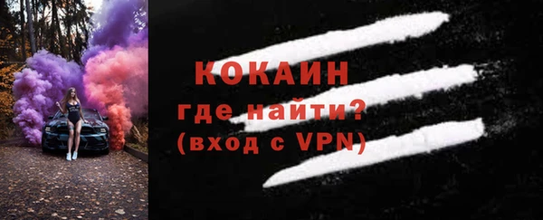 дживик Богородск