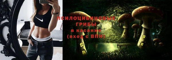 дживик Богородск