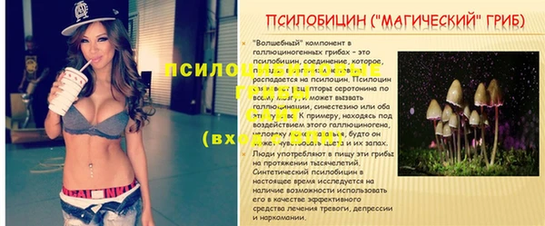 COCAINE Богородицк