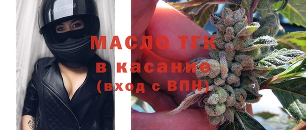 дживик Богородск