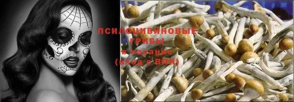 дмт Ельня