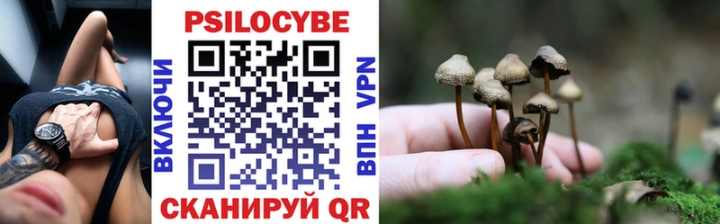площадка наркотические препараты  Озёрск  Псилоцибиновые грибы MAGIC MUSHROOMS 
